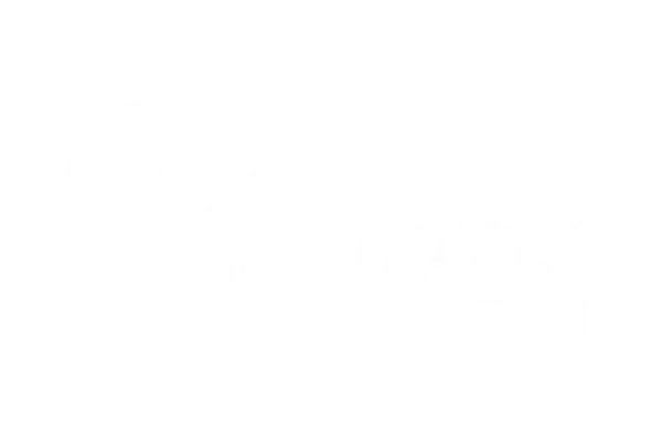 The Hans Foundation